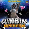 Download track Gaita Colombiana