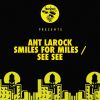 Download track Smiles For Miles