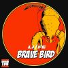 Download track Brave Bird (Original Mix)