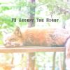 Download track Ambient Bedroom