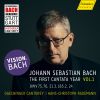 Download track Ich Hatte Viel Bekümmernis, BWV 21, Pt. 2 No. 7, Ach Jesu, Meine Ruh