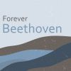 Download track Beethoven- Molto Adagio In G Major, Hess 71 (Fragment)