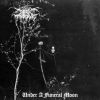 Download track To Walk The Infernal Fields