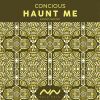 Download track Haunt Me (Extended Instrumental Remix)