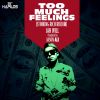 Download track Too Much Feelings