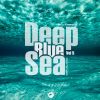 Download track Deep Blue Ocean (Original Mix)