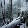 Download track Winter Embrace II