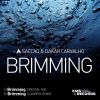 Download track Brimming (Climbers Extended Remix)