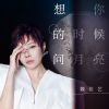 Download track 想你的时候问月亮 (Dj默涵版伴奏)