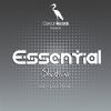 Download track Essential (Remix)