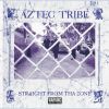 Download track T. R. I. B. E