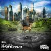 Download track From The Past (Original Mix)