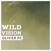 Download track Wild Vision