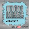 Download track Hot Tracks Dance Mini Mix # 2 (Select Mix Mini Mix)