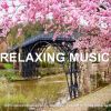 Download track Beautiful Relaxing For Stress Relief