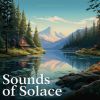 Download track Soulful Silence Echoes