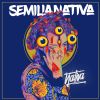 Download track Semilla Nativa (Intro)