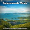 Download track Entspannende Musik Pt. 67