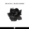 Download track Black Roses (Original Mix)