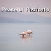 Download track Peaceful Pulse