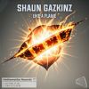 Download track Like A Flame (Original Mix)