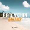 Download track Pa Bailar (Reggaeton)