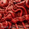 Download track Black Soul Survivor