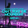 Download track Can't Fight The Moonlight (Sped Up)