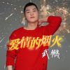 Download track 爱情的烟火