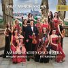 Download track Violin Concerto In D Minor, MWV O3 I. Allegro