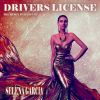 Download track Drivers License (Robert Emotronic House Remix Edit)