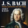 Download track Partita No. 2 In D Minor, BWV 1004 II. Corrente