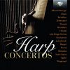 Download track Concerto For Flute And Harp In C Major, K. 299: II. Andantino