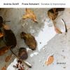 Download track 13. Piano Sonata No. 20 In A Major, D. 959 - 2. Andantino