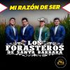 Download track Traicionera / Mujer Dificil