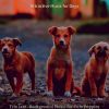 Download track Sophisticated Music For Dogs