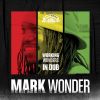 Download track Working Wonders Dub