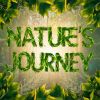 Download track A Meditation Of Nature, Its Story Untold