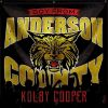 Download track Boy From Anderson County