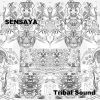 Download track Tuba Elephant March