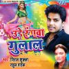 Download track Akele Aiha Jija Ji