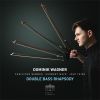 Download track Dvořák: Symphony No. 9, Op. 95, 2nd Movement: Meno (Arr. By Dominik Wagner)