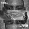 Download track Elevation