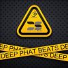 Download track Deep And Pumping Sounds