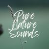 Download track Soundscapes Of Nature Melodies, Pt. 5