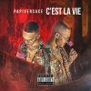 Download track C'est La Vie