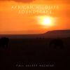 Download track African Rainforest Soundscape For Relaxation