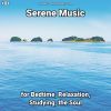 Download track Serene Music, Pt. 25