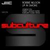 Download track Up In Smoke (Robert Nickson Remix)