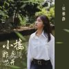 Download track 小楼昨夜花开 (伴奏)